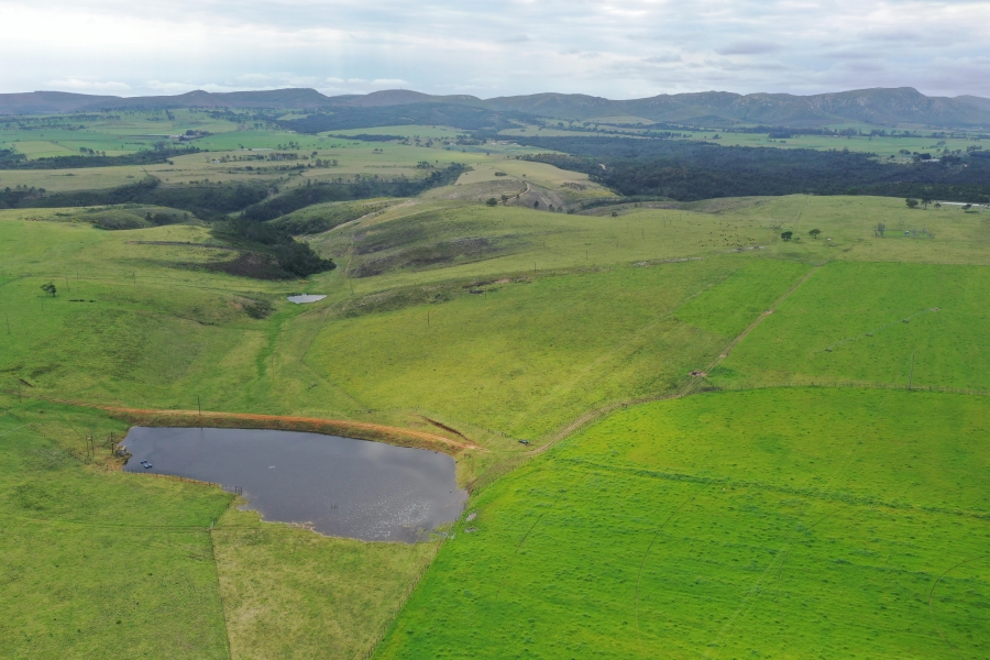 3 Bedroom Property for Sale in Thornhill Eastern Cape